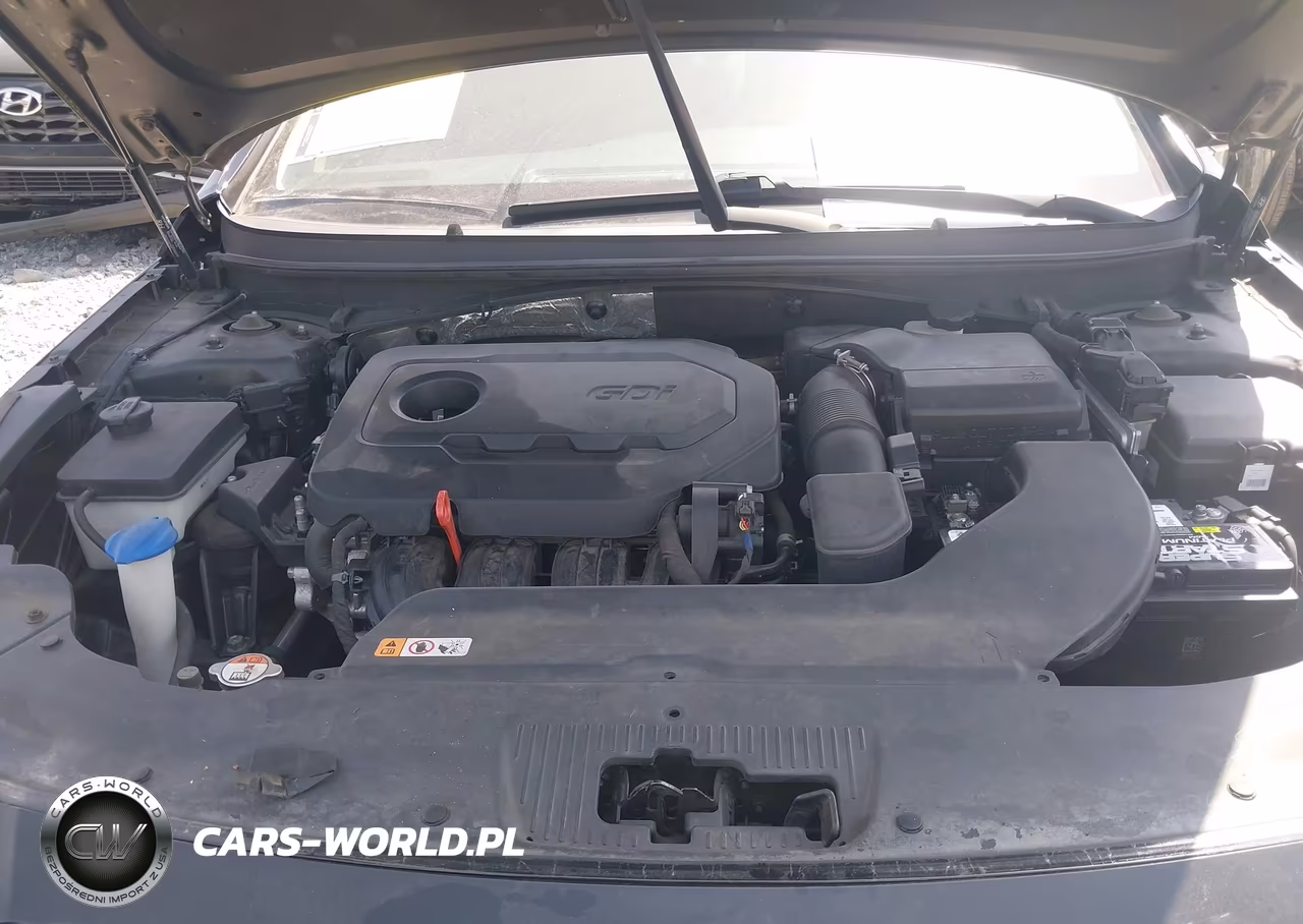 2016 Hyundai Sonata Se VIN:5NPE24AFXGH408335 - 10