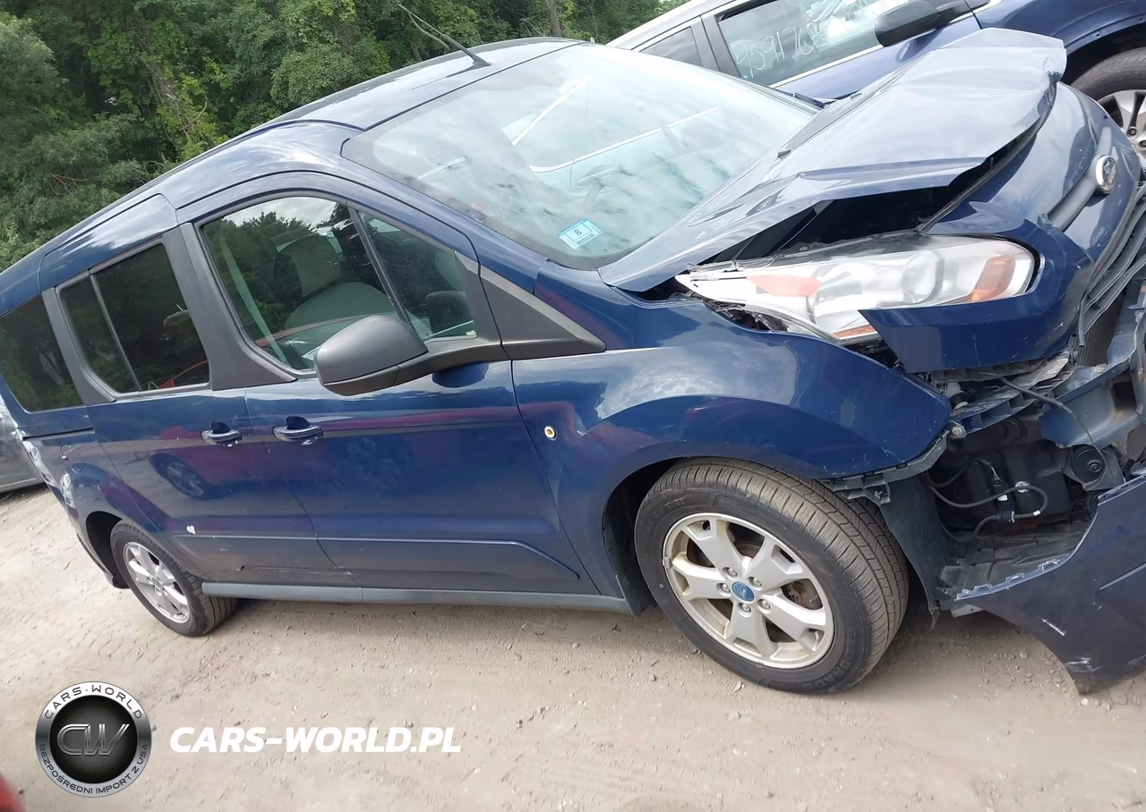 2014 Ford Transit Connect Xlt VIN:NM0GS9F71E1138095 - 13