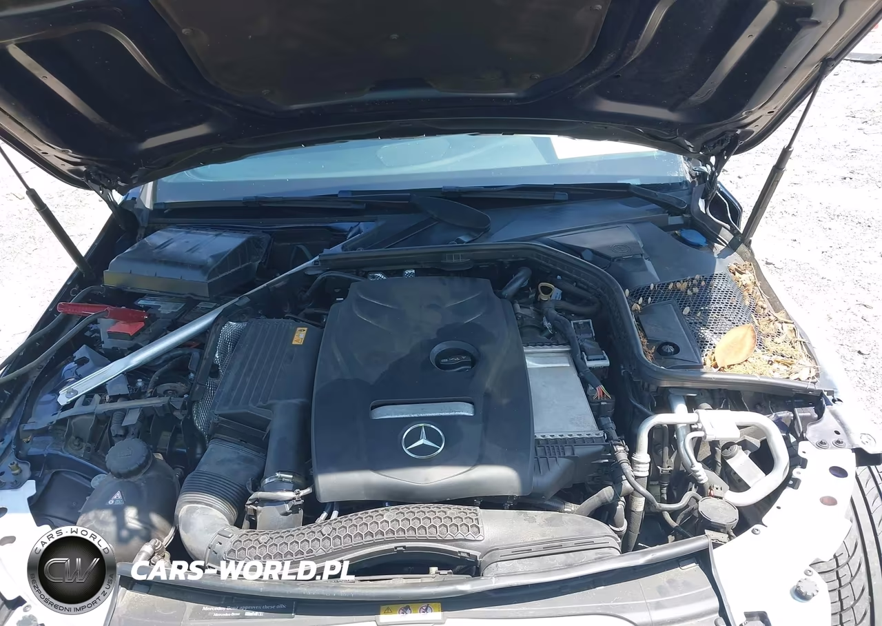2017 Mercedes-Benz C 300 Sport VIN:55SWF4JB0HU224879 - 10