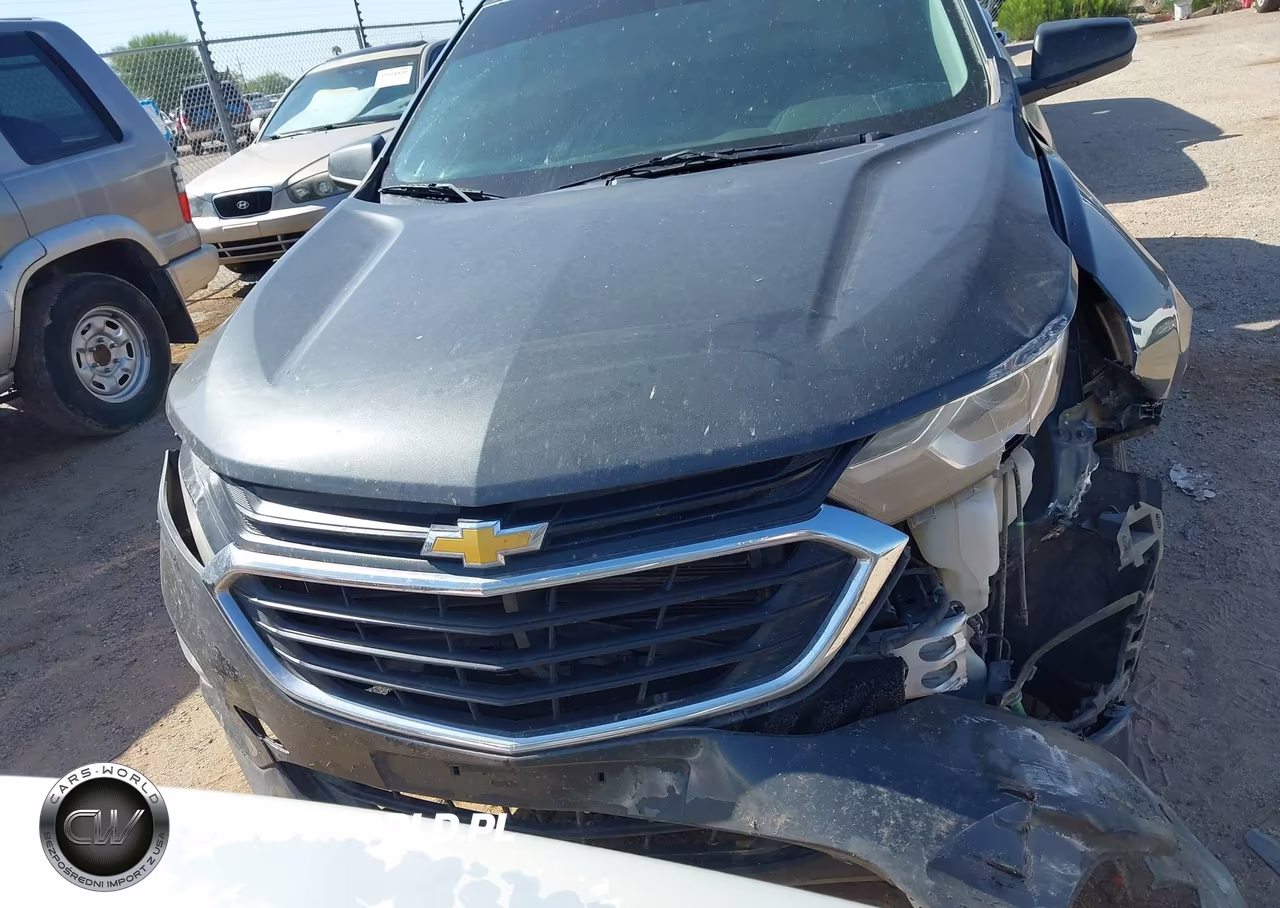 2018 Chevrolet Equinox Ls VIN:3GNAXHEV6JL279632 - 12