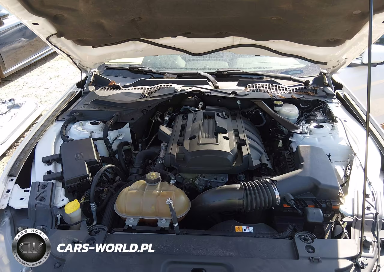 2015 Ford Mustang Ecoboost VIN:1FA6P8THXF5354132 - 10