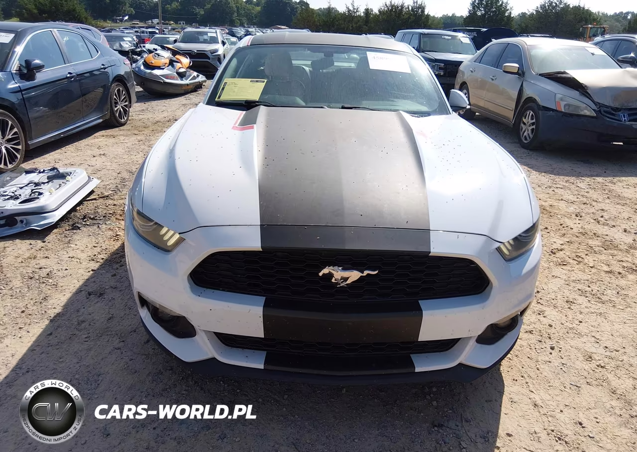 2015 Ford Mustang Ecoboost VIN:1FA6P8THXF5354132 - 13