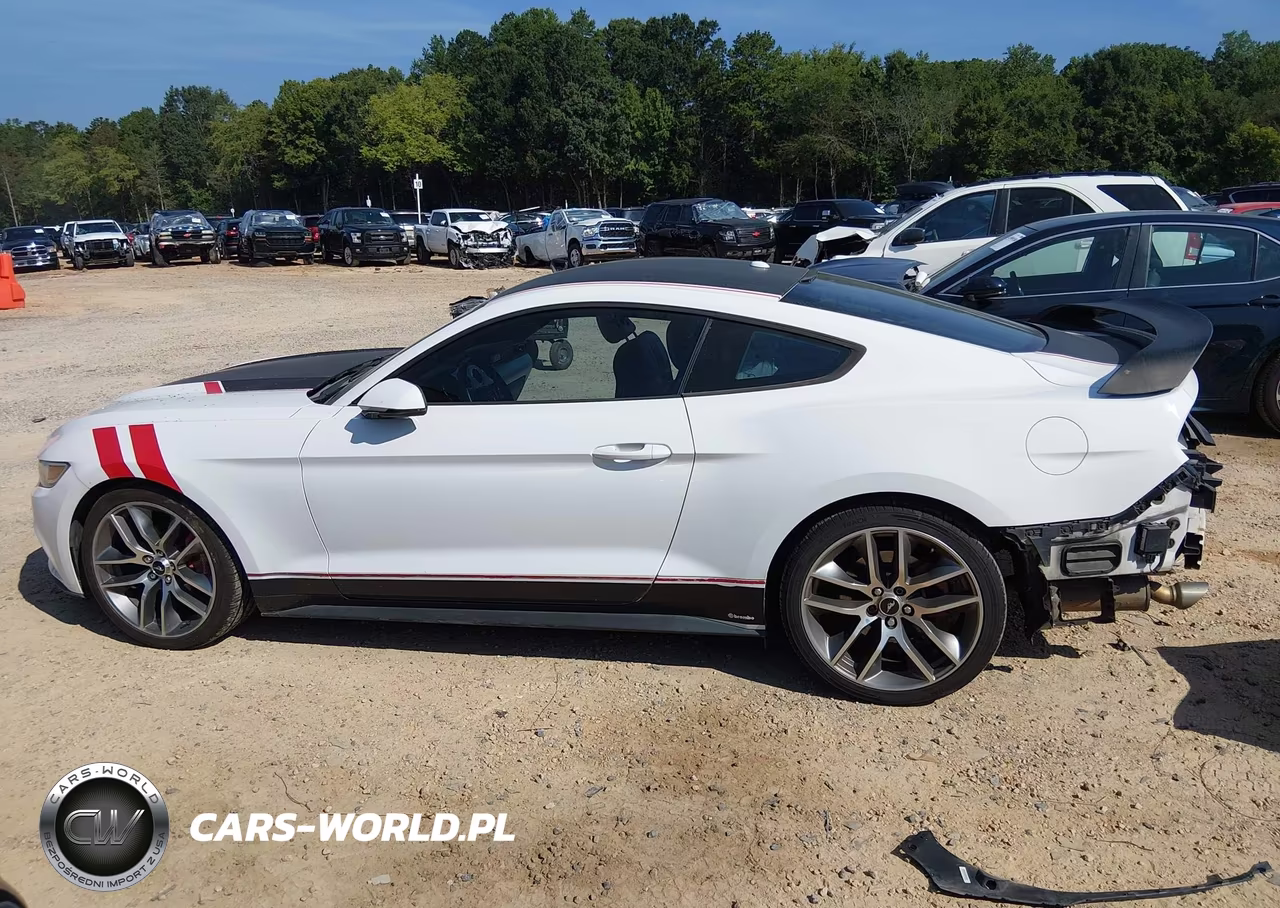 2015 Ford Mustang Ecoboost VIN:1FA6P8THXF5354132 - 15