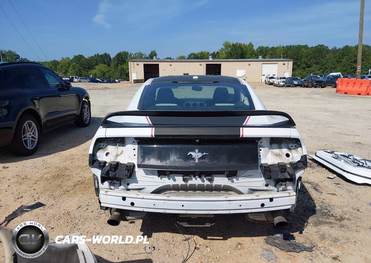 2015 Ford Mustang Ecoboost VIN:1FA6P8THXF5354132 - 17