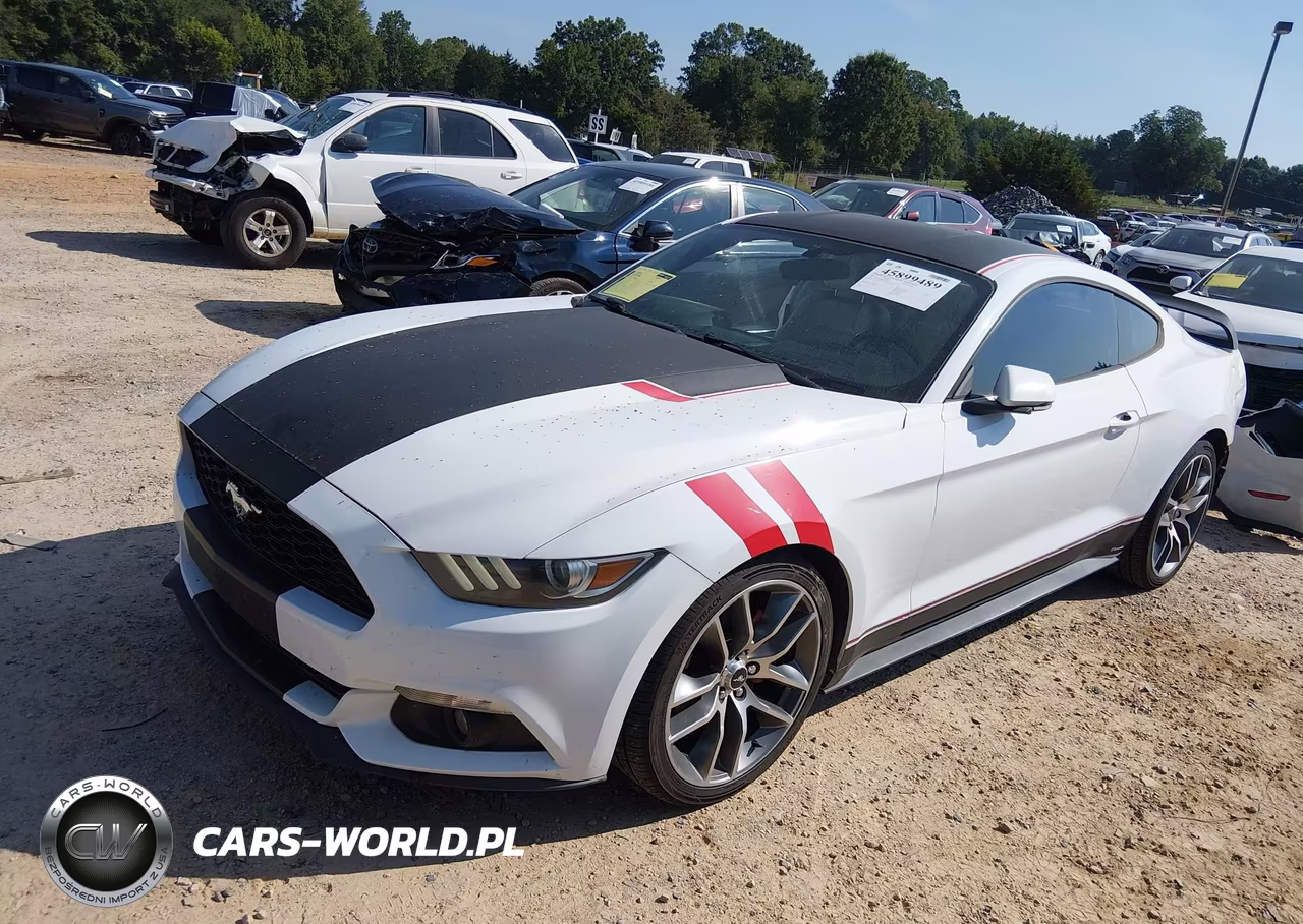2015 Ford Mustang Ecoboost VIN:1FA6P8THXF5354132 - 2