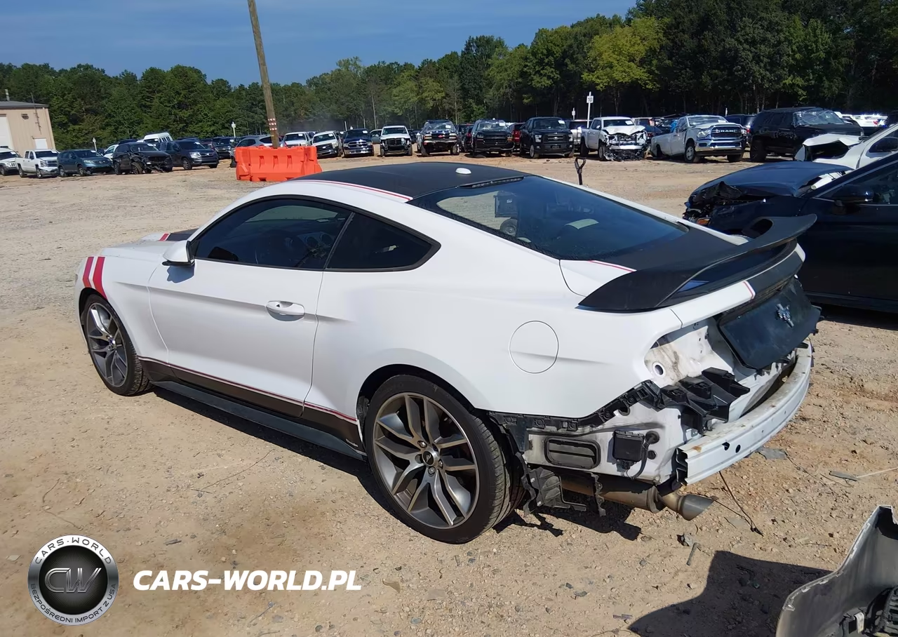 2015 Ford Mustang Ecoboost VIN:1FA6P8THXF5354132 - 3