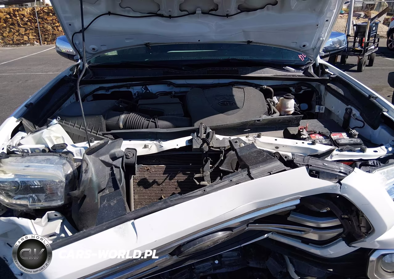 2018 Toyota Tacoma Limited VIN:3TMGZ5AN7JM161567 - 10