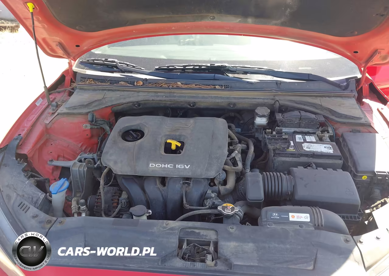 2019 Hyundai Veloster 2.0 VIN:KMHTG6AF3KU019311 - 10