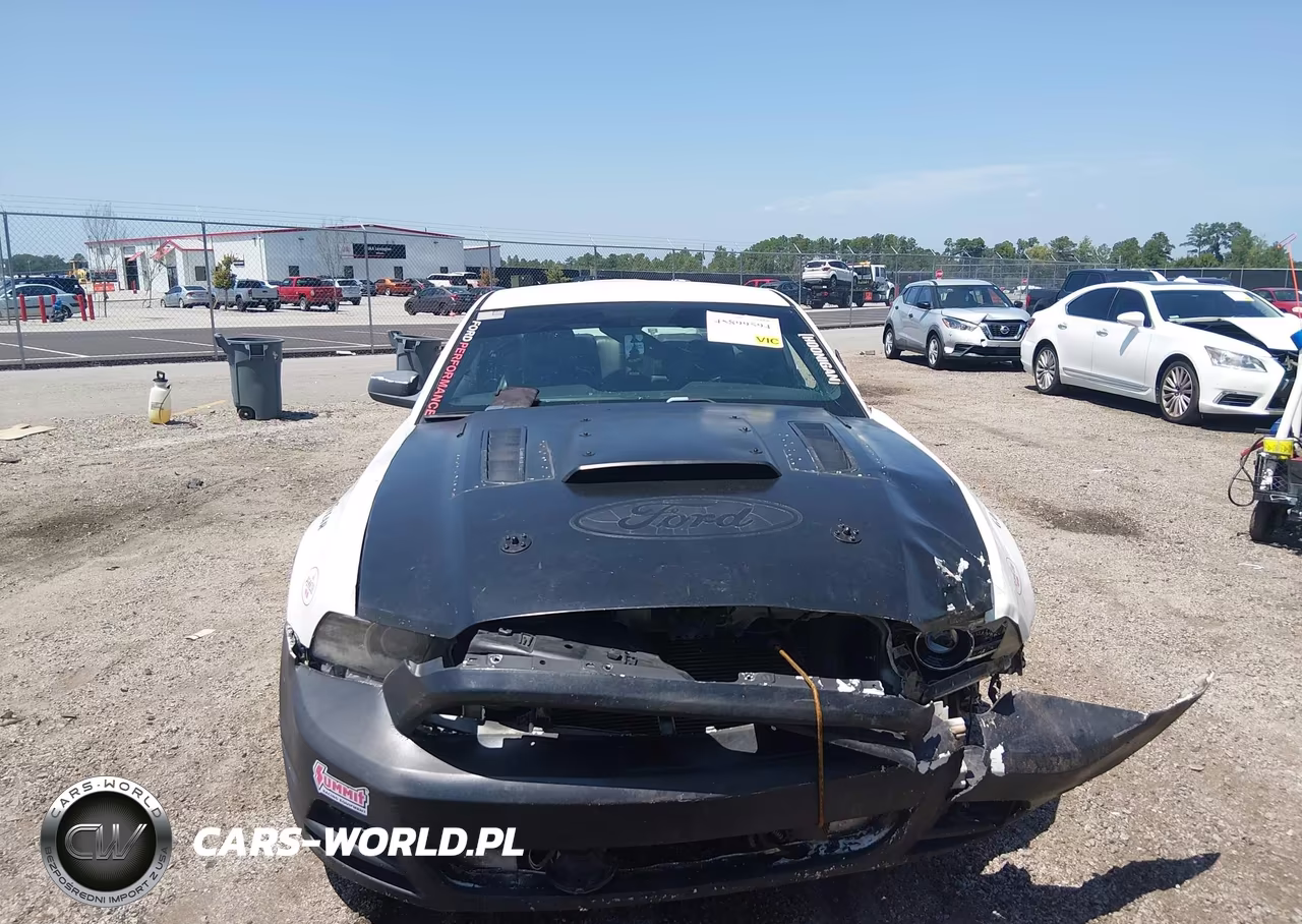 2014 Ford Mustang Gt Premium VIN:1ZVBP8CF8E5270944 - 13