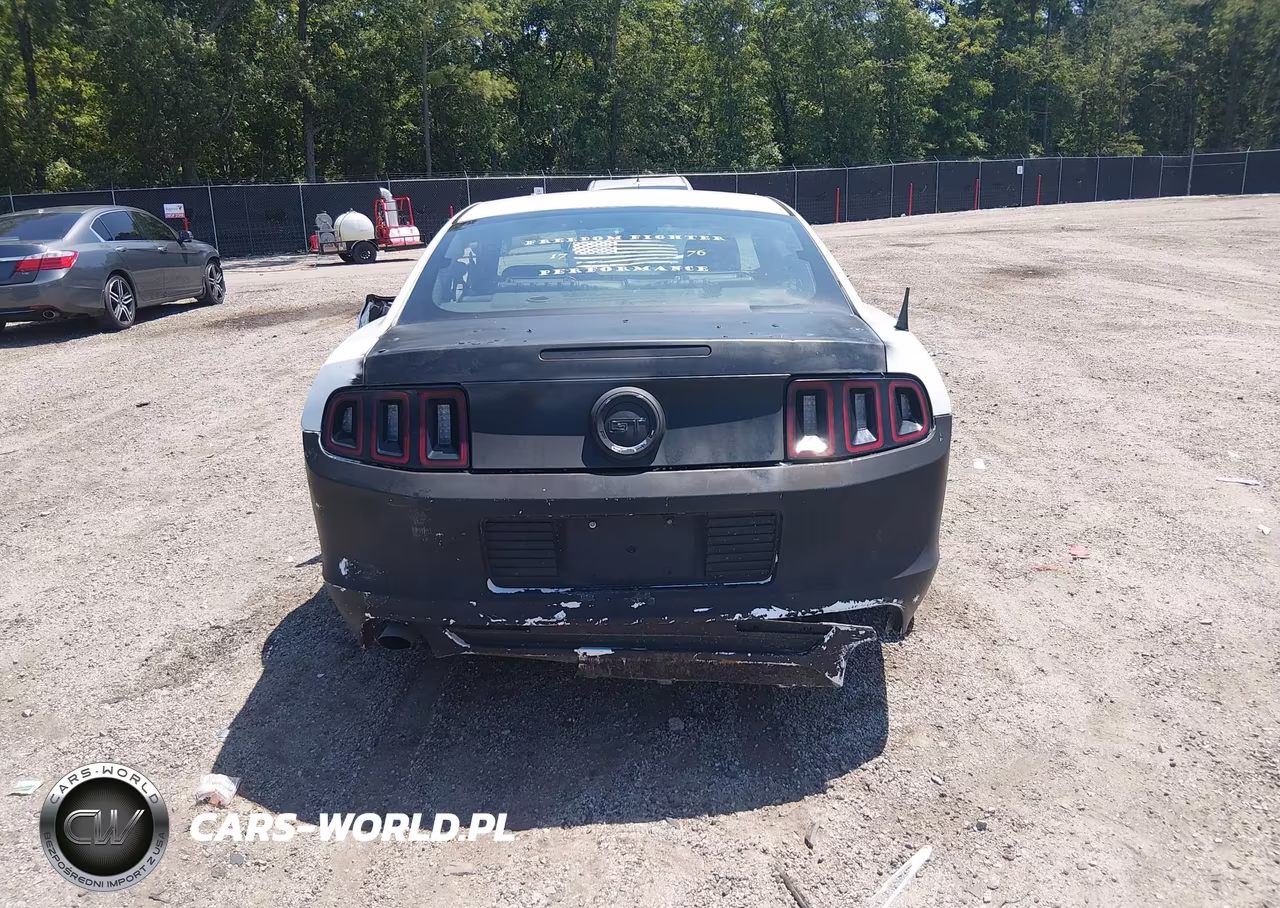 2014 Ford Mustang Gt Premium VIN:1ZVBP8CF8E5270944 - 17