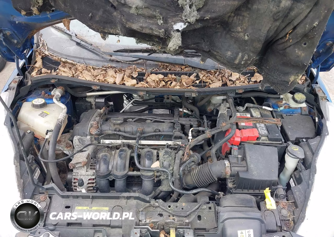 2011 Ford Fiesta Sel VIN:3FADP4CJ5BM232754 - 10