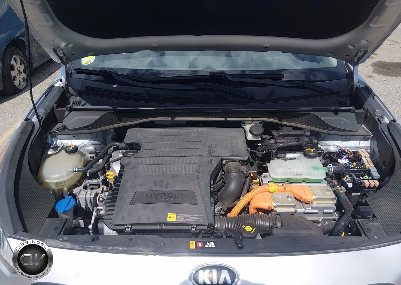 2019 Kia Niro Lx VIN:KNDCB3LCXK5230858 - 10