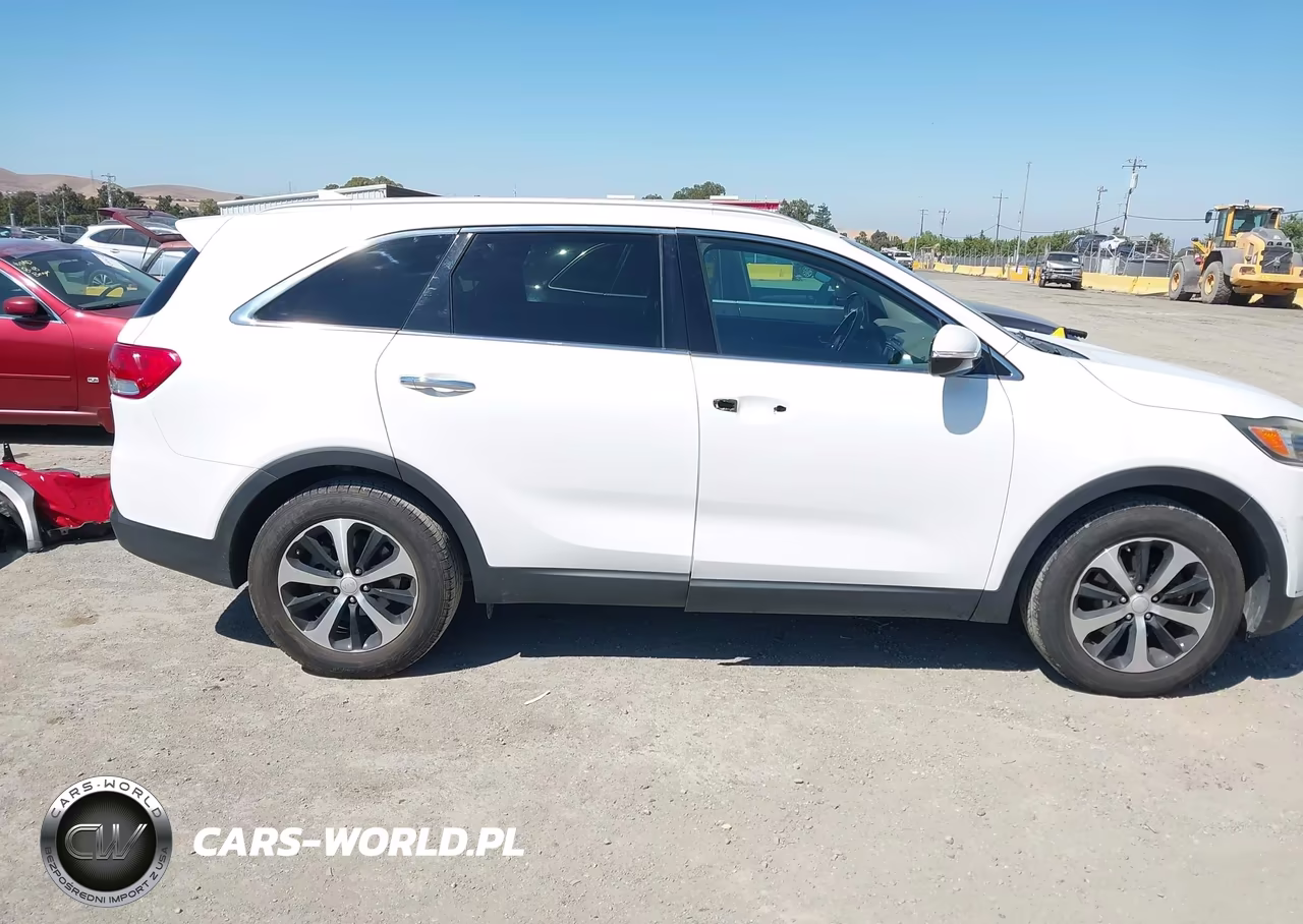 2016 Kia Sorento 2.0T Ex VIN:5XYPH4A10GG019383 - 13