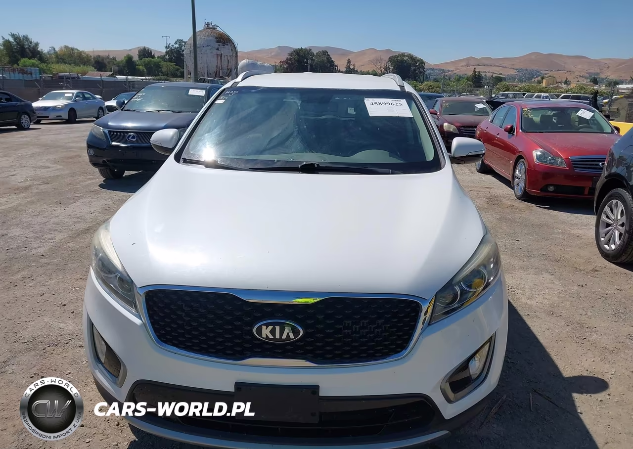 2016 Kia Sorento 2.0T Ex VIN:5XYPH4A10GG019383 - 6