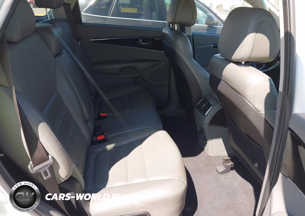 2016 Kia Sorento 2.0T Ex VIN:5XYPH4A10GG019383 - 8