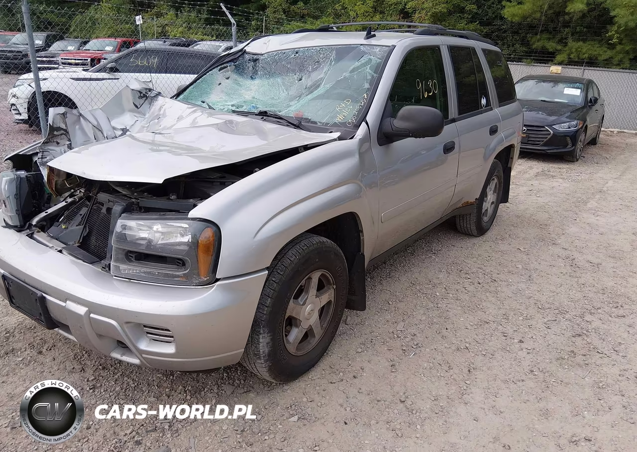 2006 Chevrolet Trailblazer Ls VIN:1GNDT13S162166642 - 2