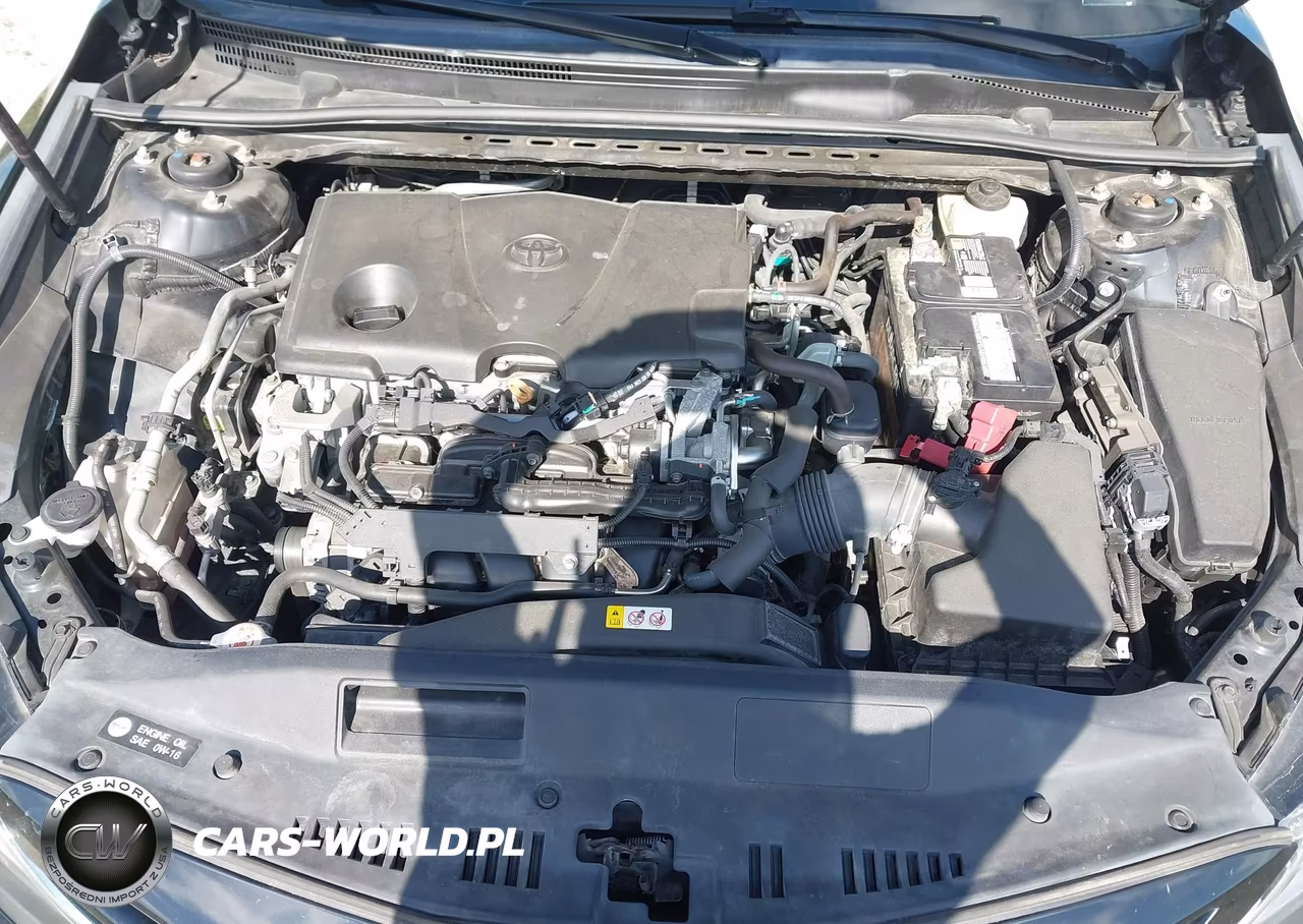 2019 Toyota Camry Se VIN:4T1B11HK4KU175294 - 10