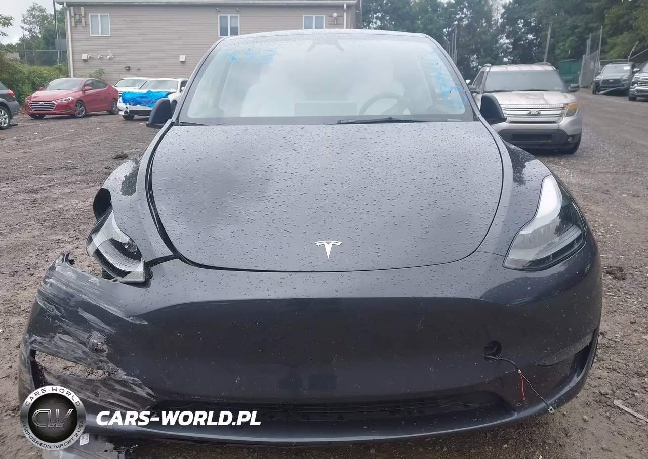 2024 Tesla Model Y Long Range Dual Motor All-Wheel Drive VIN:7SAYGDEE5RA234515 - 10