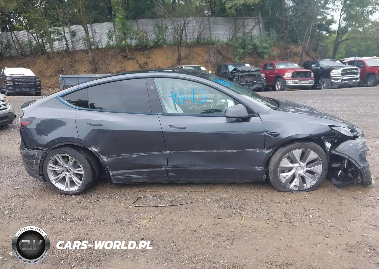 2024 Tesla Model Y Long Range Dual Motor All-Wheel Drive VIN:7SAYGDEE5RA234515 - 11