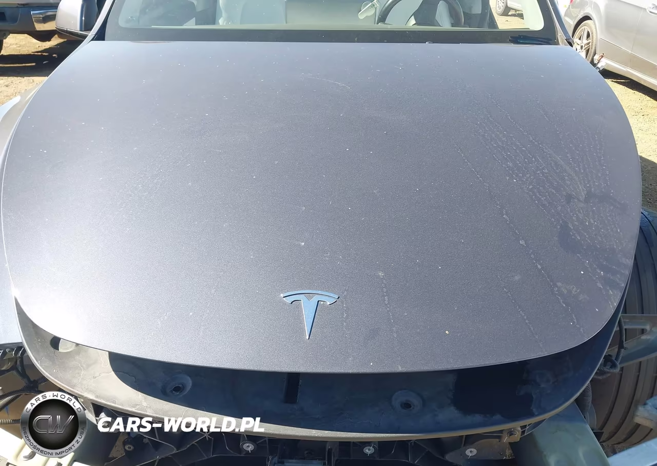 2021 Tesla Model Y Performance Dual Motor All-Wheel Drive VIN:5YJYGDEF7MF092007 - 10