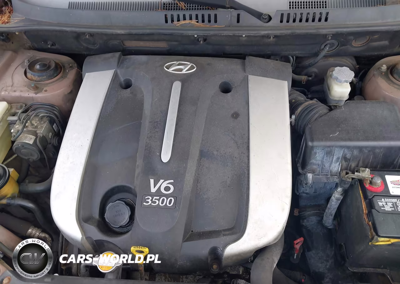 2006 Hyundai Santa Fe Gls-Limited VIN:KM8SC13E36U069386 - 10