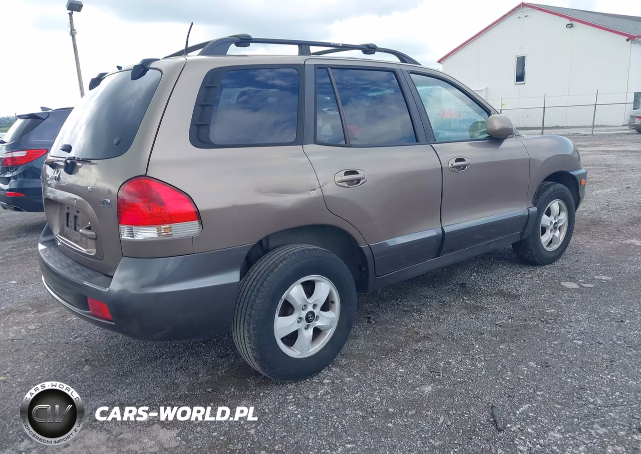 2006 Hyundai Santa Fe Gls-Limited VIN:KM8SC13E36U069386 - 4