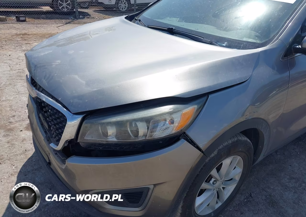 2016 Kia Sorento 2.4L Lx VIN:5XYPG4A35GG089272 - 6