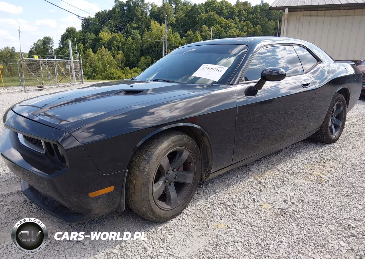 2010 Dodge Challenger Se VIN:2B3CJ4DV7AH313696 - 2