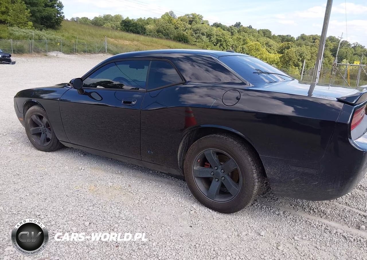 2010 Dodge Challenger Se VIN:2B3CJ4DV7AH313696 - 3