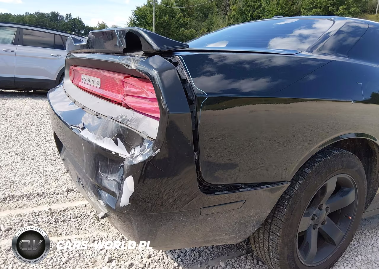2010 Dodge Challenger Se VIN:2B3CJ4DV7AH313696 - 6