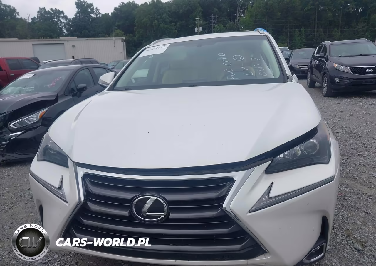 2017 Lexus Nx 200T VIN:JTJYARBZ2H2081712 - 12