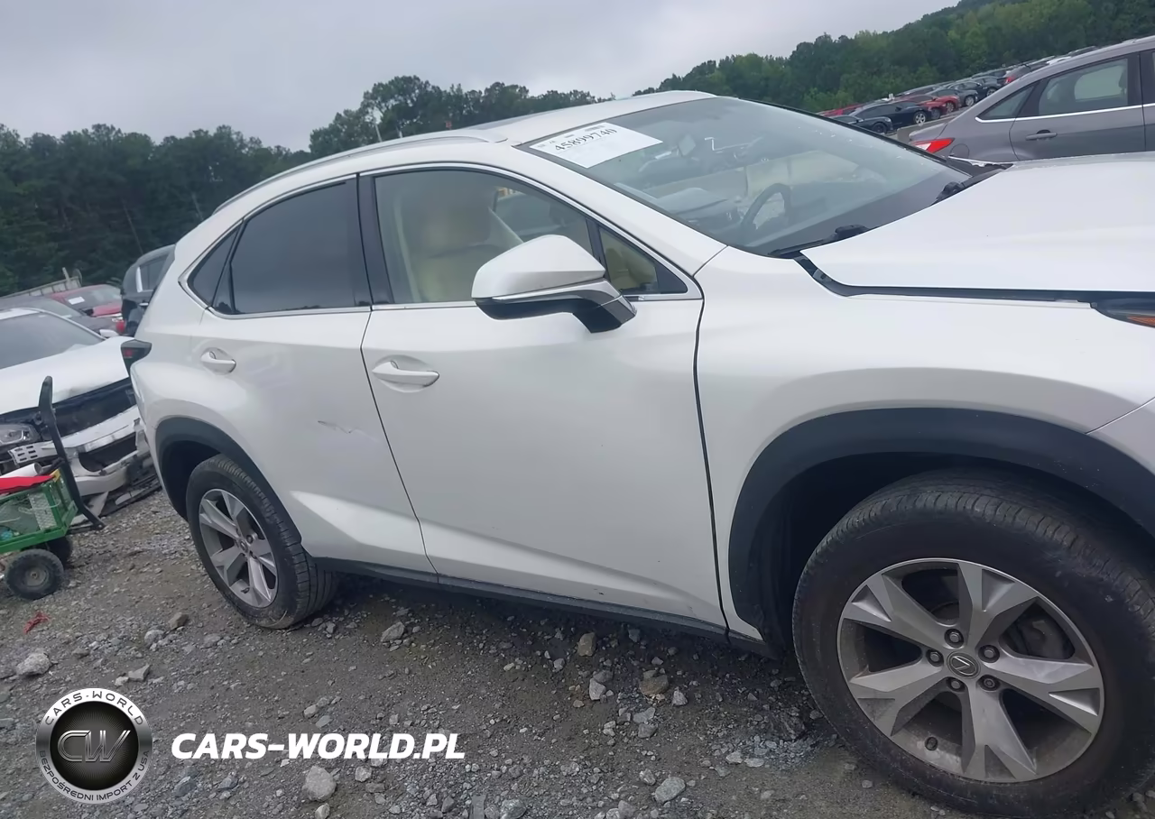 2017 Lexus Nx 200T VIN:JTJYARBZ2H2081712 - 13