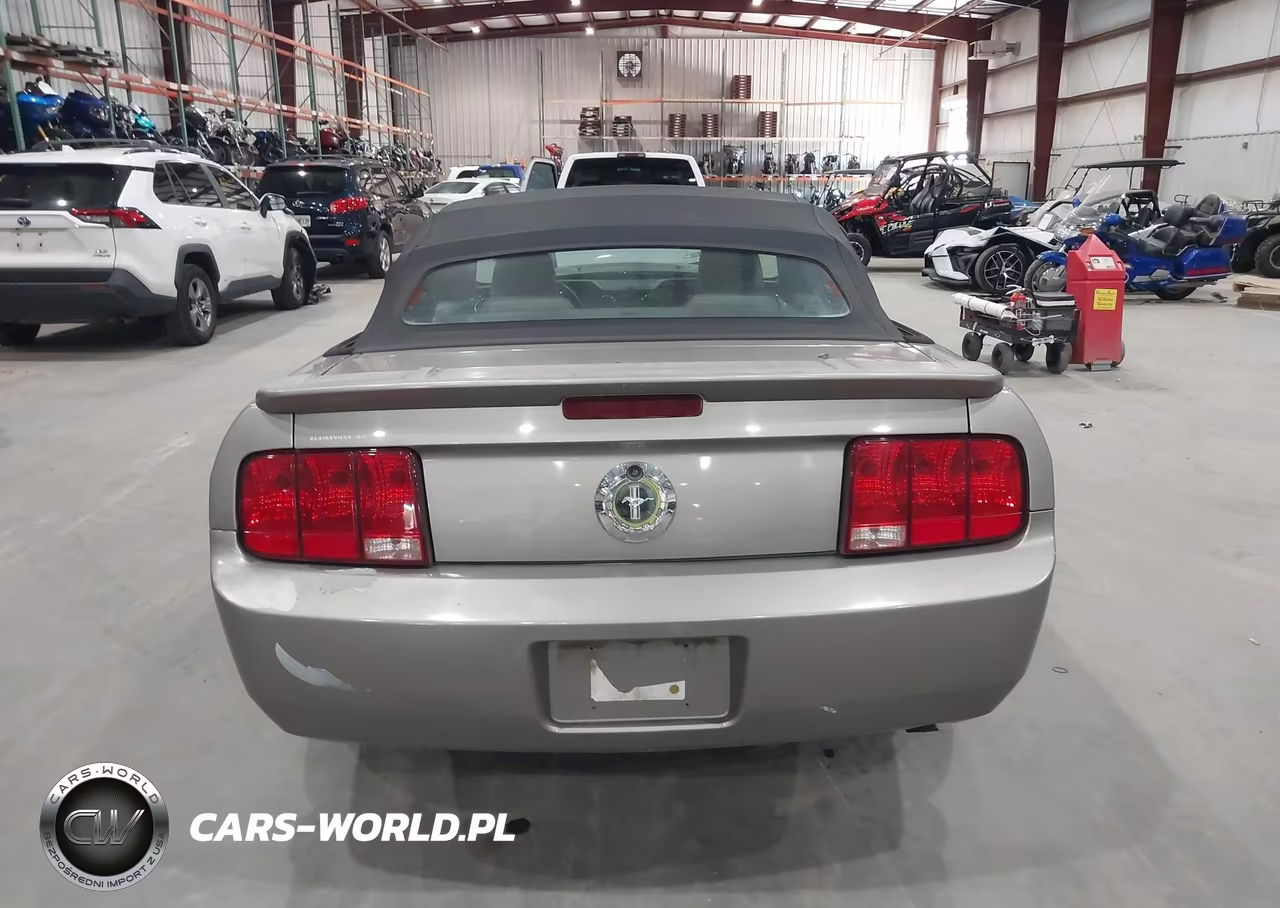 2008 Ford Mustang V6 Premium VIN:1ZVHT84N685165593 - 16