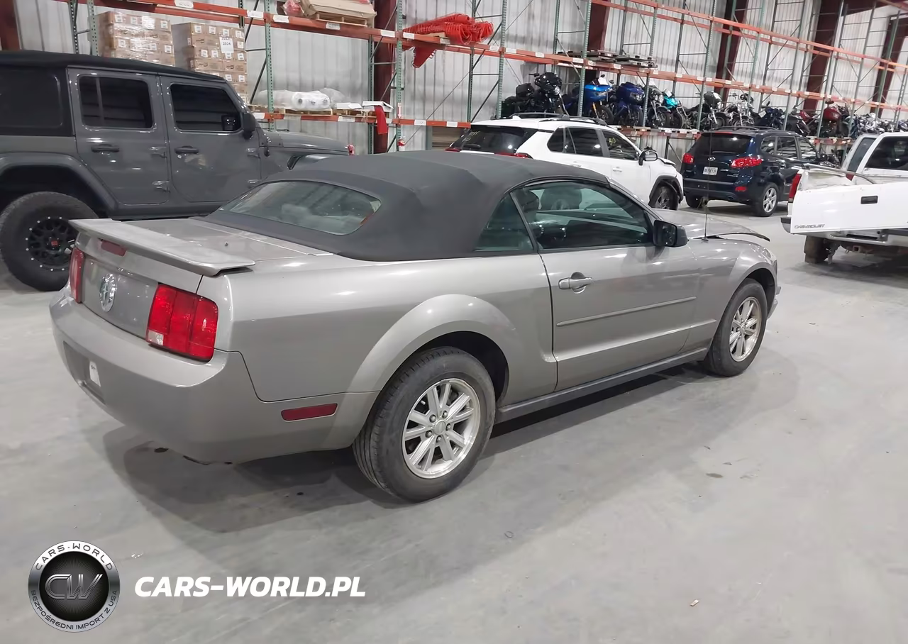 2008 Ford Mustang V6 Premium VIN:1ZVHT84N685165593 - 4