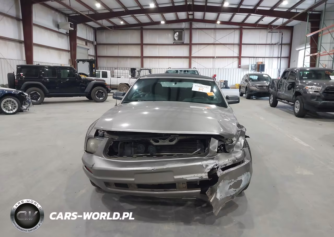 2008 Ford Mustang V6 Premium VIN:1ZVHT84N685165593 - 6