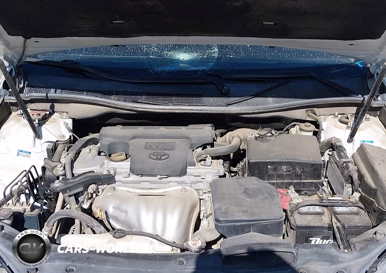 2017 Toyota Camry Xse VIN:4T1BF1FK6HU269447 - 10