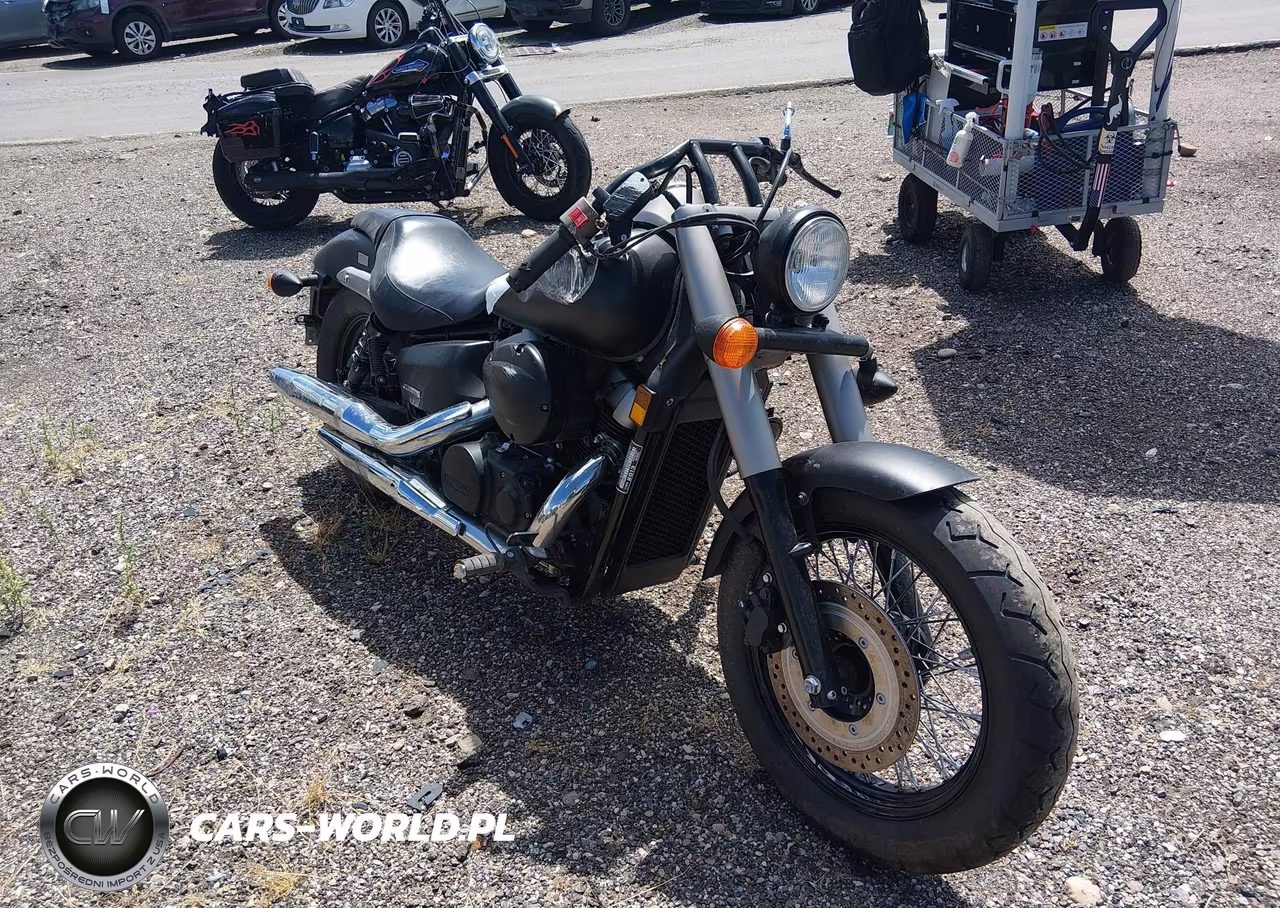 2013 Honda Vt750 C2B VIN:JH2RC5379DK300383 - 1