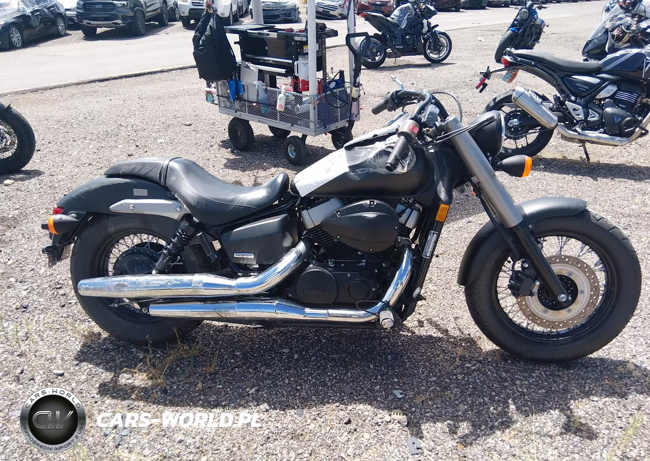 2013 Honda Vt750 C2B VIN:JH2RC5379DK300383 - 12