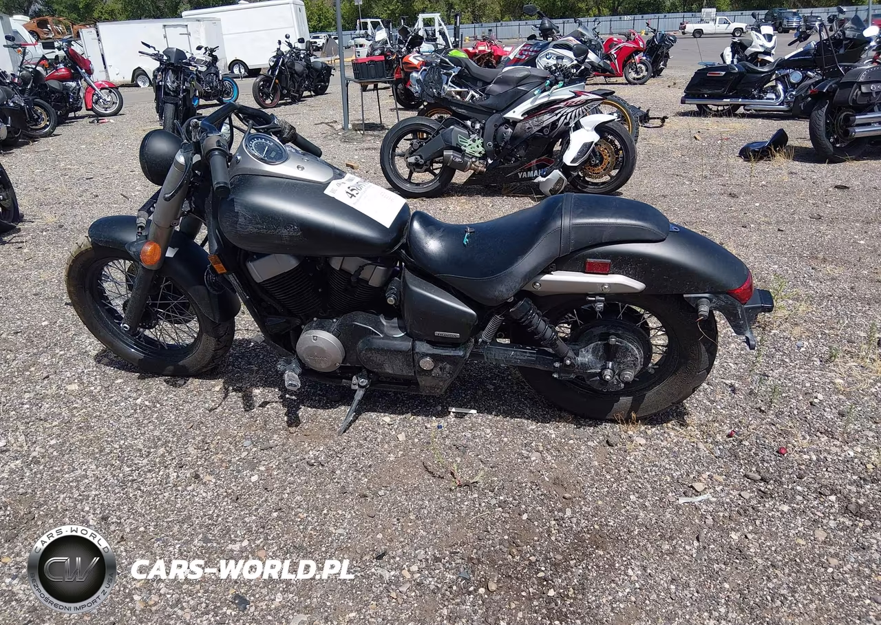 2013 Honda Vt750 C2B VIN:JH2RC5379DK300383 - 13