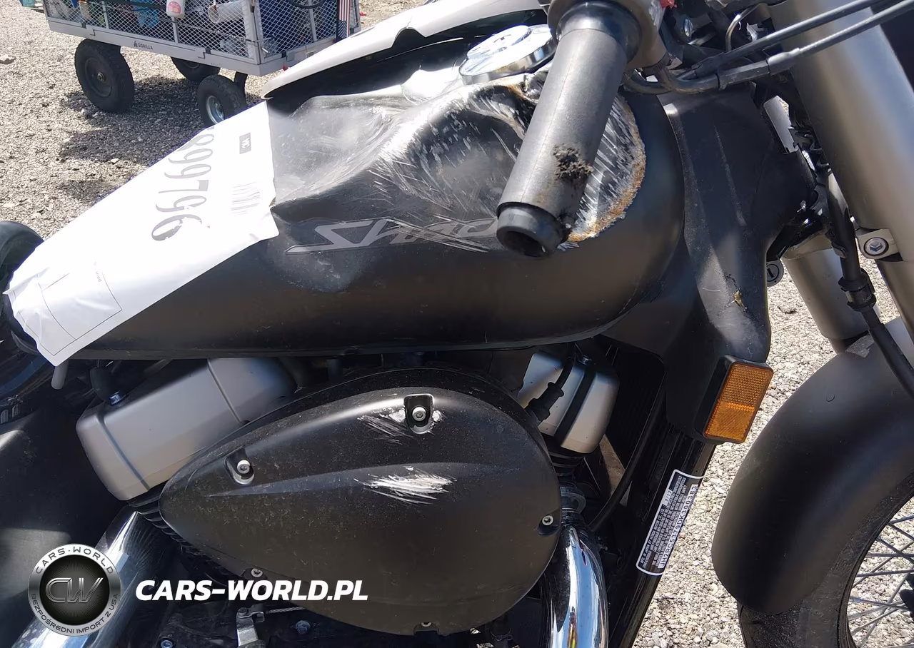 2013 Honda Vt750 C2B VIN:JH2RC5379DK300383 - 14