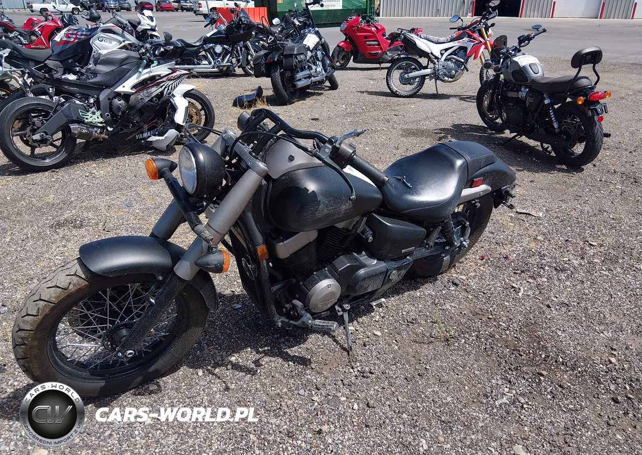 2013 Honda Vt750 C2B VIN:JH2RC5379DK300383 - 2