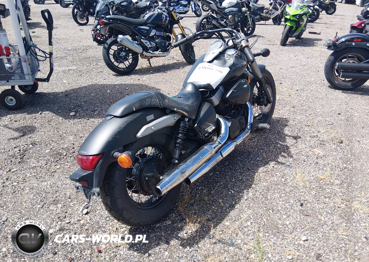 2013 Honda Vt750 C2B VIN:JH2RC5379DK300383 - 4