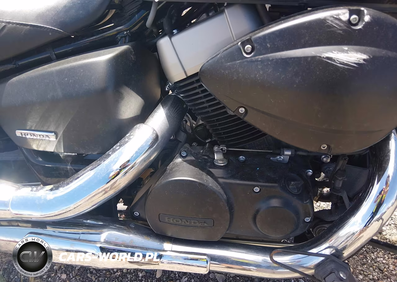 2013 Honda Vt750 C2B VIN:JH2RC5379DK300383 - 8