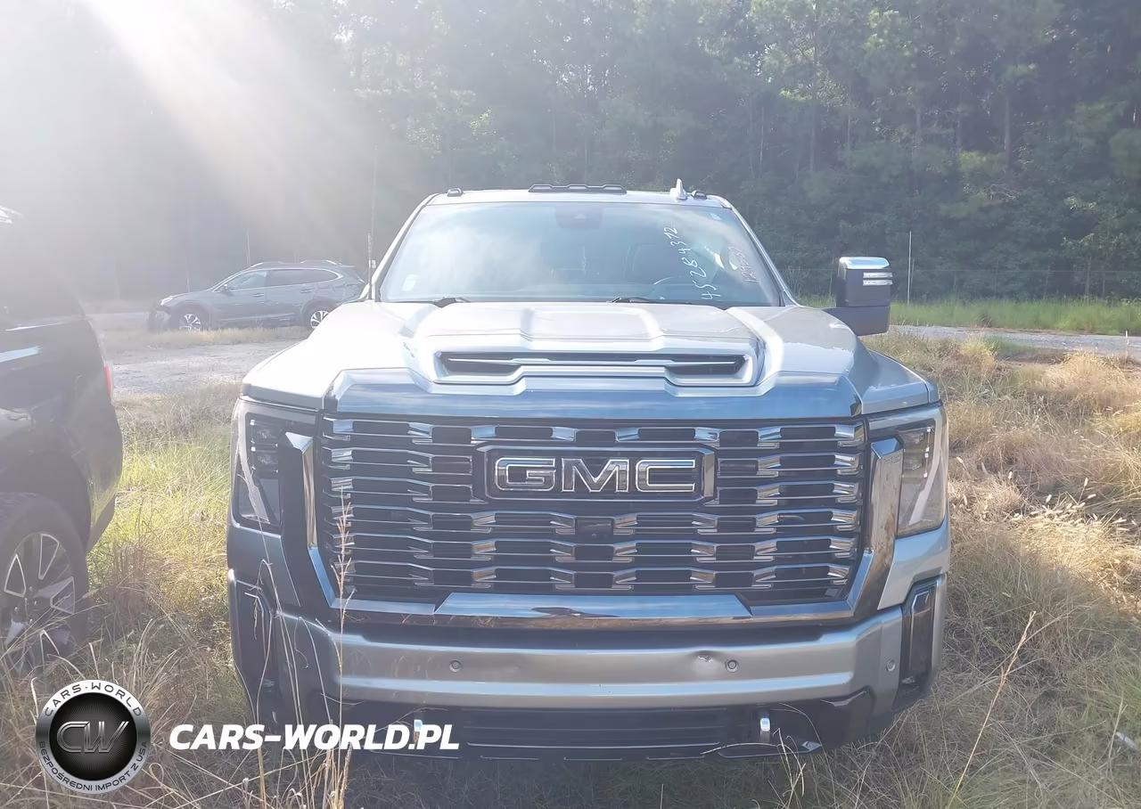 2024 GMC Sierra 3500Hd 4Wd Standard Bed Denali Ultimate VIN:1GT49YEY8RF129537 - 12