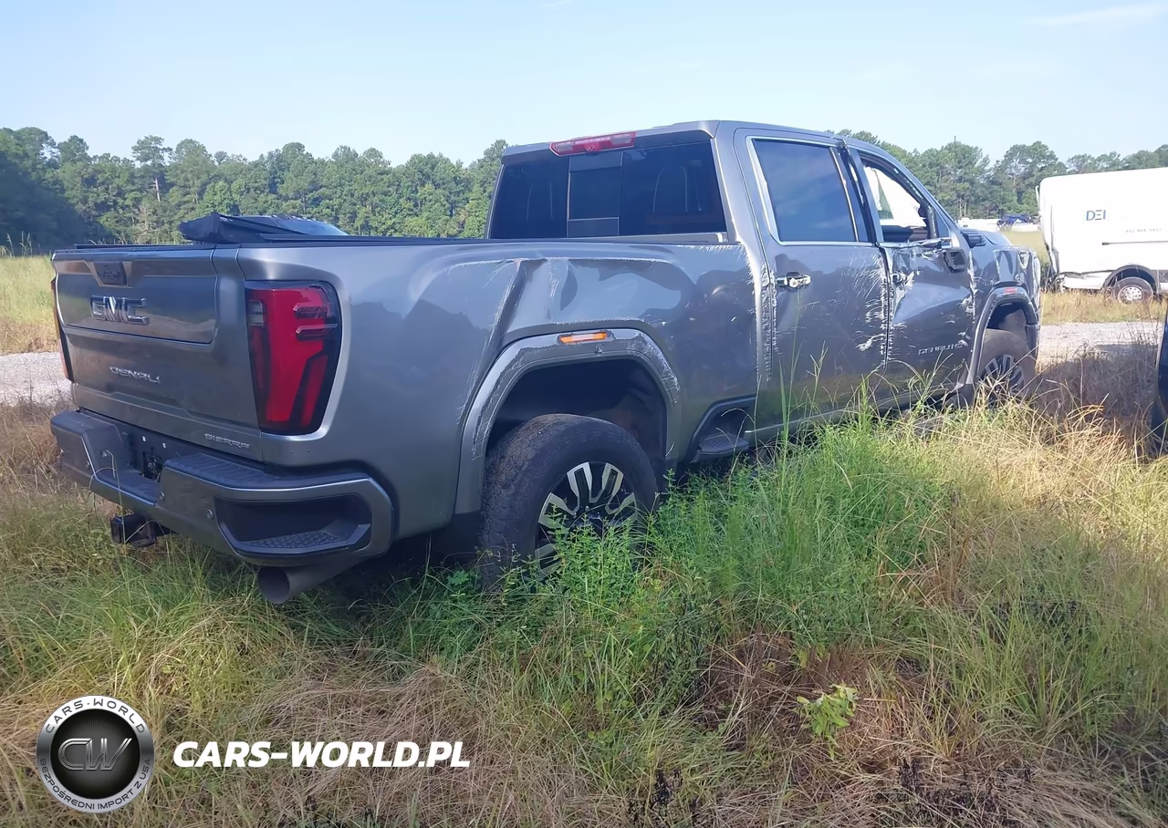 2024 GMC Sierra 3500Hd 4Wd Standard Bed Denali Ultimate VIN:1GT49YEY8RF129537 - 4