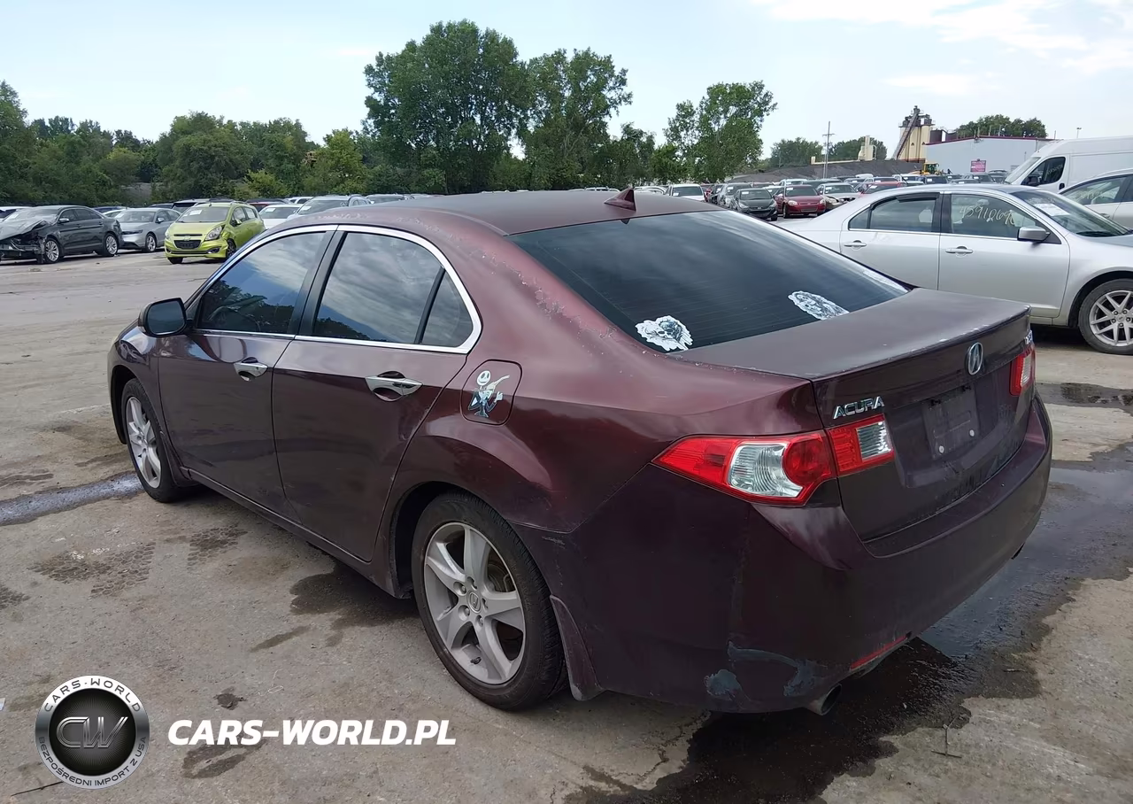 2009 Acura Tsx VIN:JH4CU266X9C022624 - 3