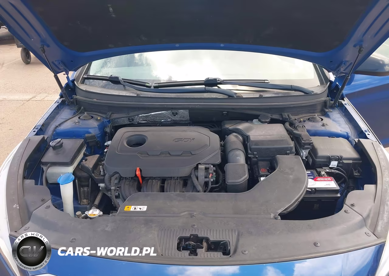 2016 Hyundai Sonata Se VIN:5NPE24AF5GH285821 - 10