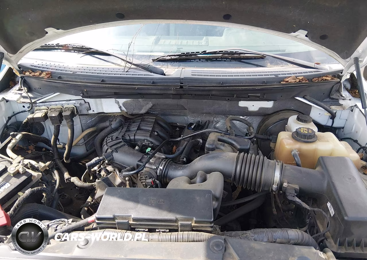 2013 Ford F-150 Xl VIN:1FTMF1CM7DKD99861 - 10