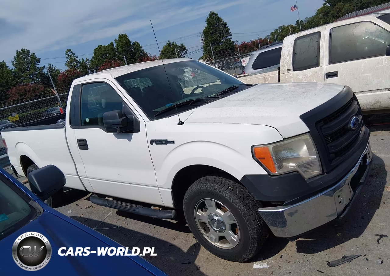 2013 Ford F-150 Xl VIN:1FTMF1CM7DKD99861 - 13