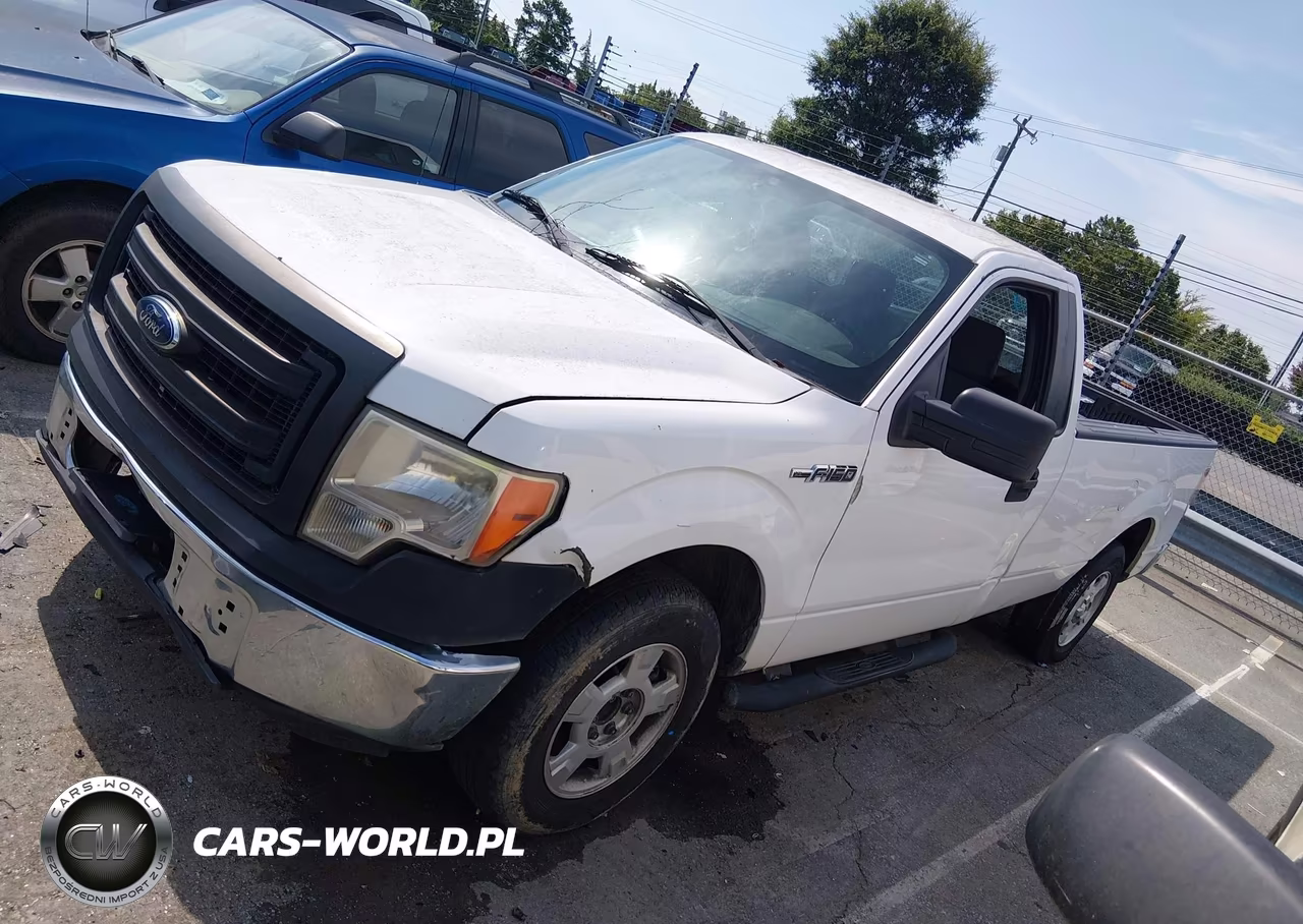 2013 Ford F-150 Xl VIN:1FTMF1CM7DKD99861 - 14